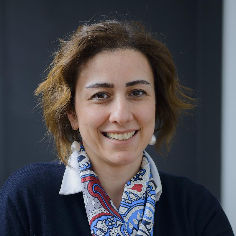 Deniz L. Basar